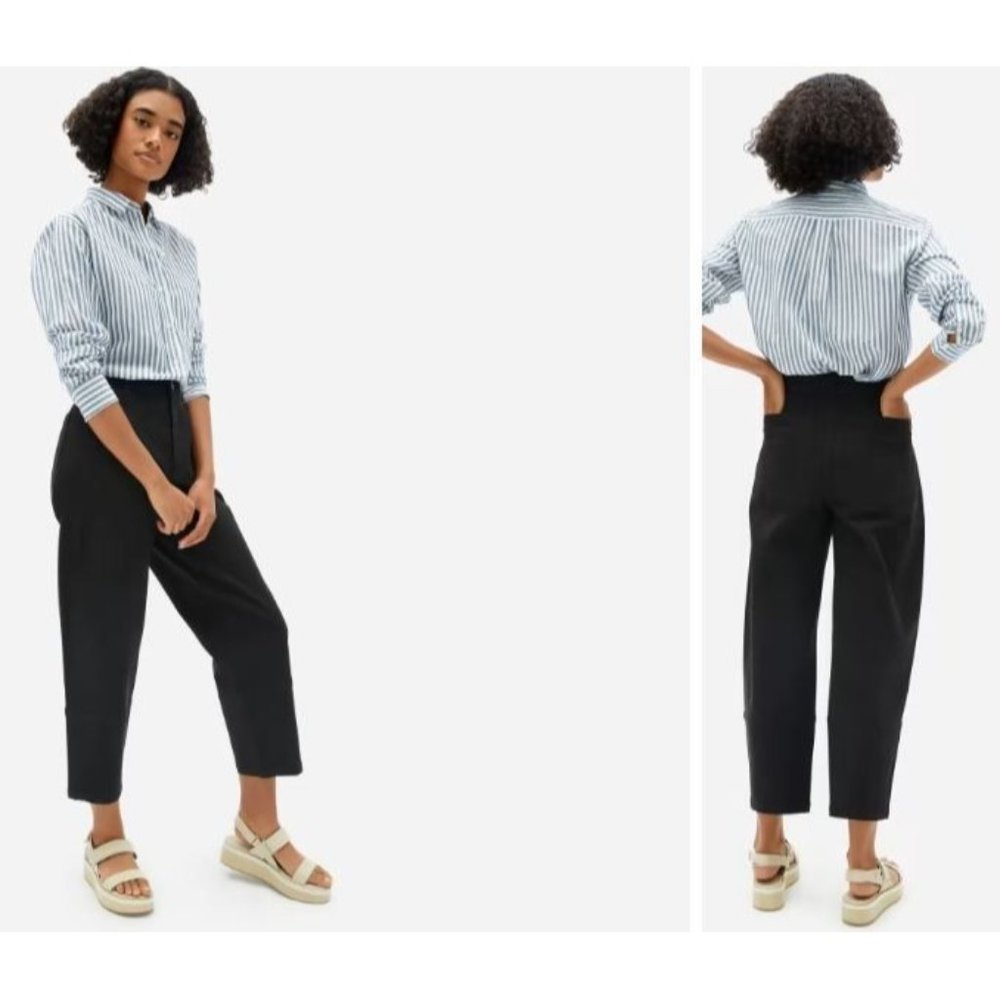 Everlane Black Barrell Leg Pants